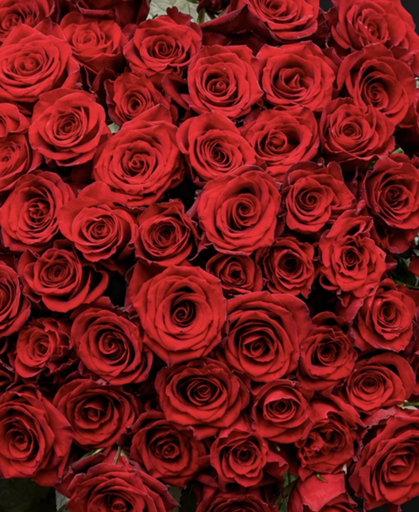 Bouquet de roses livraison Paris Bac à Fleurs