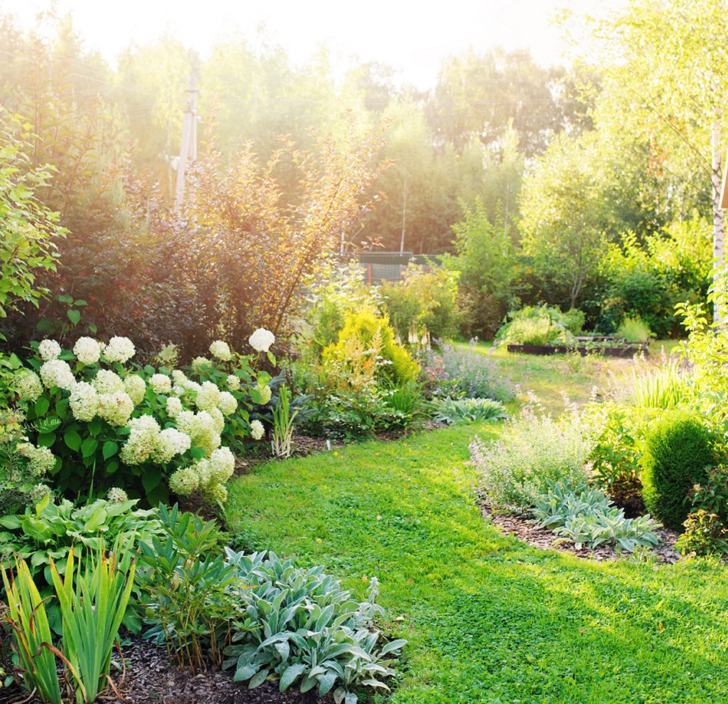Aménagement paysager jardin Paris par Bac à Fleurs